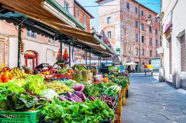 Bologna: Cultural, Bohemian, LGBTQIA, Food Tour - Booking and Contact Information