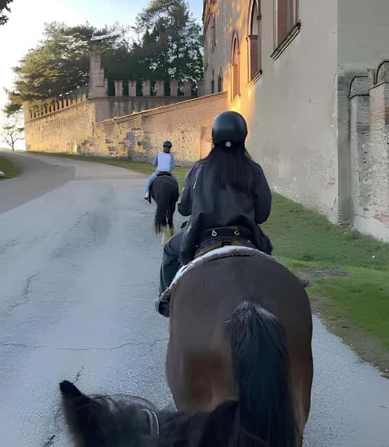 Bologna: Horseback Ride in the Bolognese Hills - Good To Know