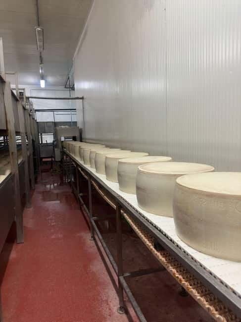 Bologna/Modena: Parmesan,Ferrari, Balsamic,Wine Tour w/Lunch - Good To Know