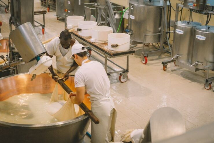 Bologna/Modena: Parmigiano, Ferrari, & Wine Tour With Lunch - Good To Know