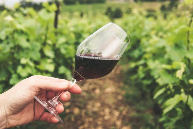 Bologna/Modena: Parmigiano, Ferrari, & Wine Tour With Lunch - Inclusions
