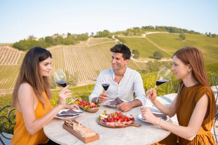 Bologna: Olive Grove and Vineyard Tour With Product Tastings - Activity Details