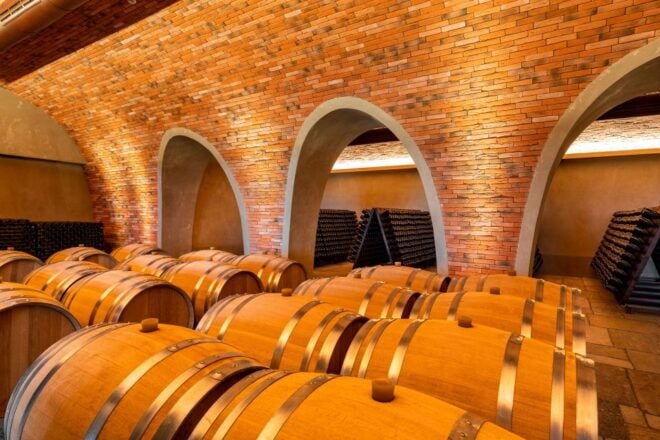 Bologna: Olive Grove and Vineyard Tour With Product Tastings - Drop-off Locations