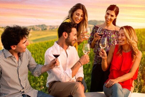 Bologna: Olive Grove and Vineyard Tour With Product Tastings - Wine Tasting