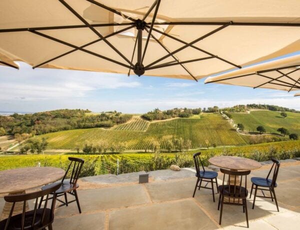 Bologna: Olive Grove and Vineyard Tour With Product Tastings - Food Tasting