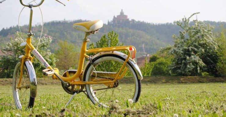 Bologna: Panoramic Bike Tour - Experience and Highlights