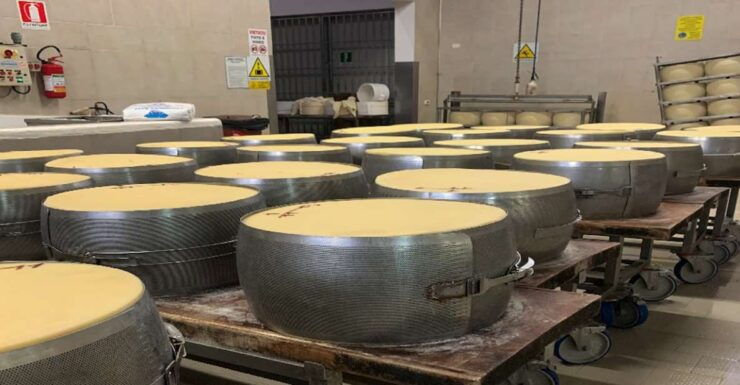 Bologna: Parmesan, Vinegar, Lambrusco, Lunch +Transfer - Activities