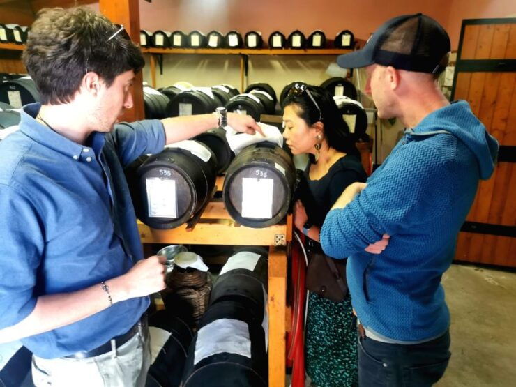 Bologna: Parmigiano, Wine and Balsamic Vinegar Experience - Highlights