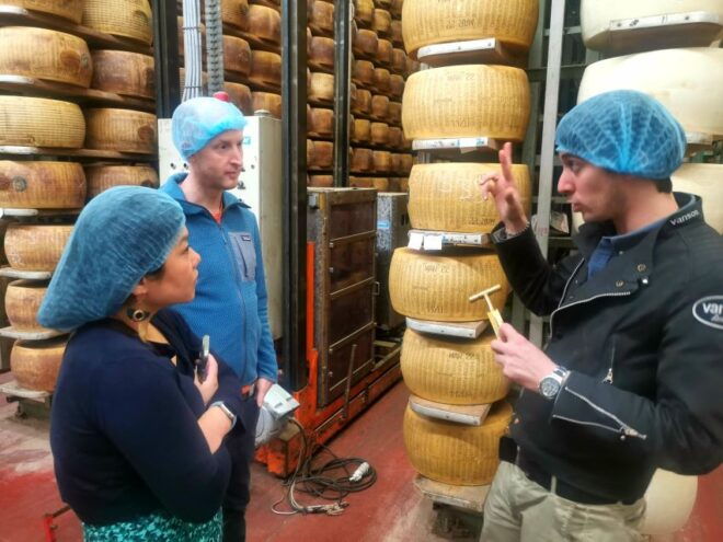 Bologna: Parmigiano, Wine and Balsamic Vinegar Experience - Customer Reviews