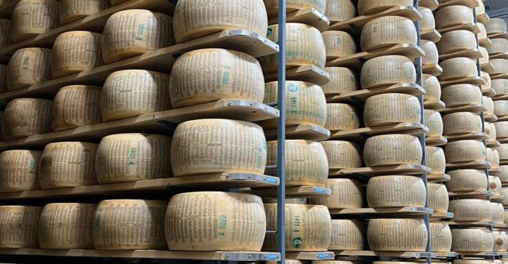 Bologna: Private Balsamic, Prosciutto, and Wine Tasting Tour - Itinerary