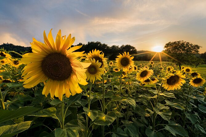 Bologna Surroundings Photo Tour: Rolling Hills and Badlands - Private Tour Designed for Photographers