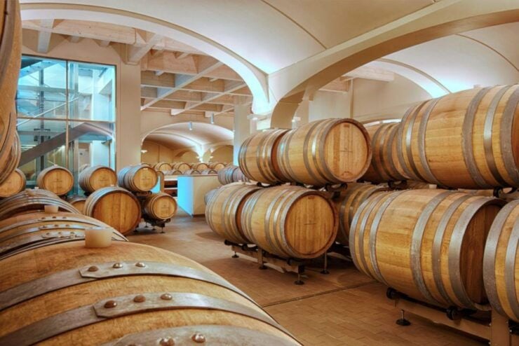 Bologna Vineyard Vista: a Journey Through Emilian Wines - Good To Know