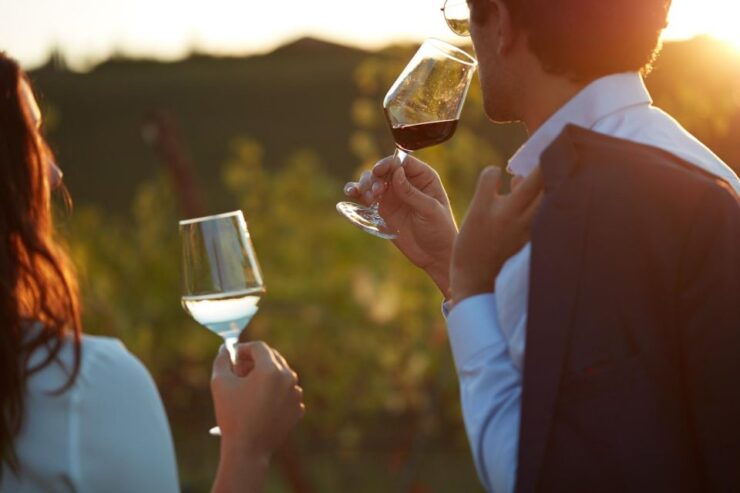 Bologna Vineyard Vista: a Journey Through Emilian Wines - Pricing and Duration