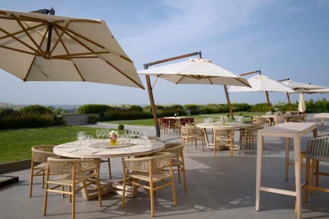 Bologna Vineyard Vista: a Journey Through Emilian Wines - Classic and Deluxe Experiences