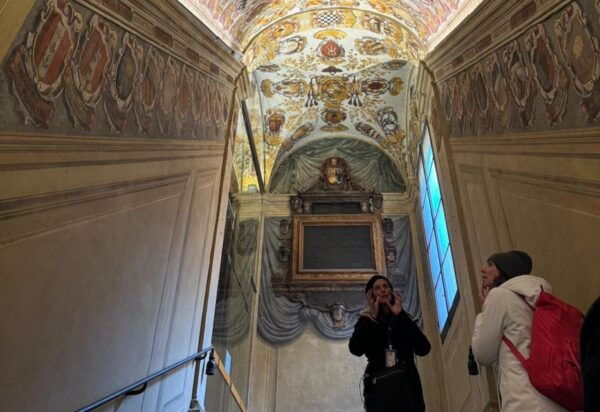 Bologna Walking Tour With Tower Sky View and Archiginnasio - The Sum Up