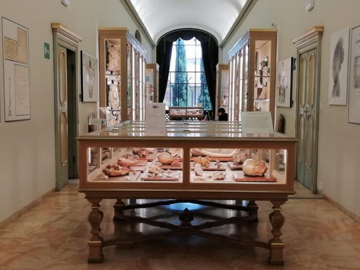 BOLOGNA WATERS and BOLOGNA Dotta: Guided Tour With Breakfast - Good To Know