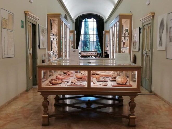 BOLOGNA WATERS and BOLOGNA Dotta: Guided Tour With Breakfast - Inclusions and Fees