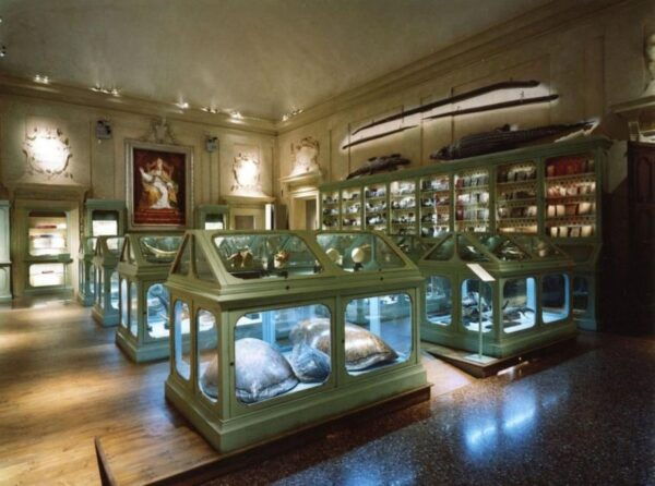 BOLOGNA WATERS and BOLOGNA Dotta: Guided Tour With Breakfast - Important Information