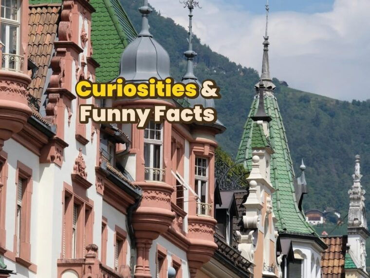 Bolzano: Digital Guide Made With a Local for Your Tour - Accessibility and Requirements