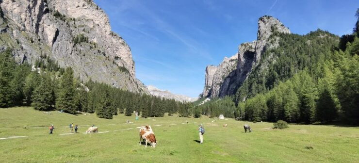 Bolzano Dolomites: Private Full-Day Hiking Experience - Good To Know