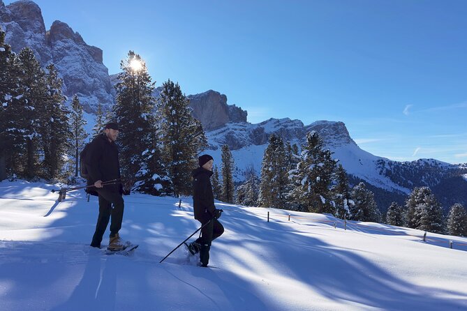 Bolzano Dolomites - Winter Hiking & Sledding Experience for All - Expectations and Additional Information