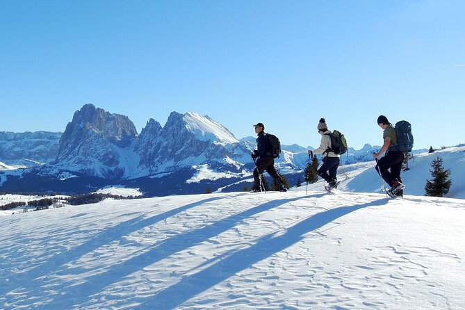 Bolzano Dolomites - Winter Hiking & Sledding Experience for All - Reviews, Questions, and Price