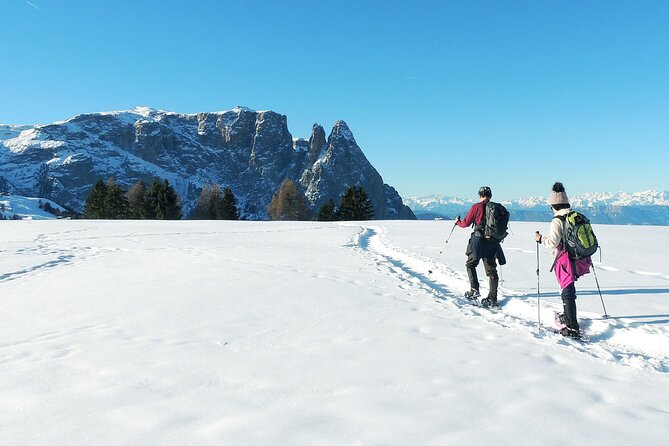 Bolzano Dolomites - Winter Hiking & Sledding Experience for All - The Sum Up