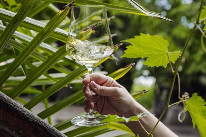 Bolzano: Wine Tasting at SKYWINE Pavilion with Views - Good To Know