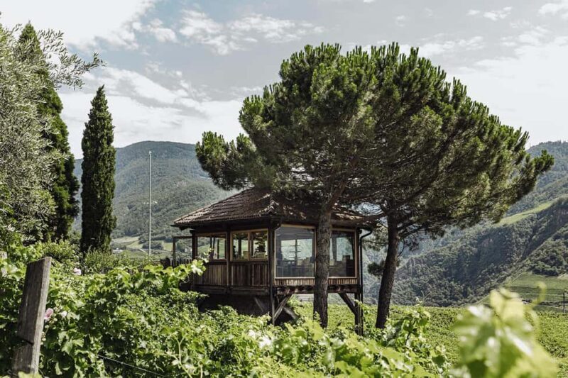 Bolzano: Wine Tasting at SKYWINE Pavilion with Views - Experience Overview