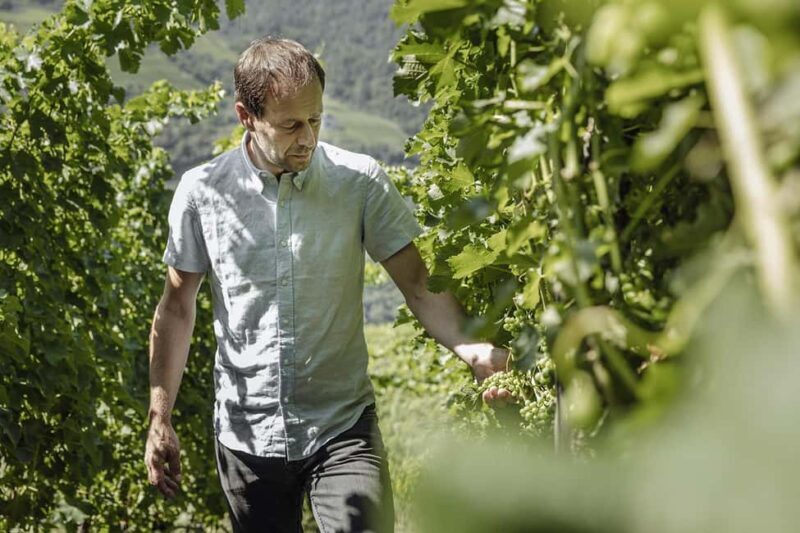 Bolzano: Wine Tasting at SKYWINE Pavilion with Views - What’s Included & What’s Not