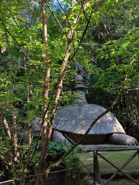 Bomarzo: Sacred Woods Entry Ticket - The Experience of Visiting Bomarzo