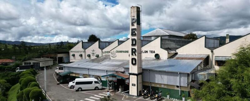 Bomburella Waterfalls, Lovers Leap & Pedro Tea Factory Tour - Good To Know