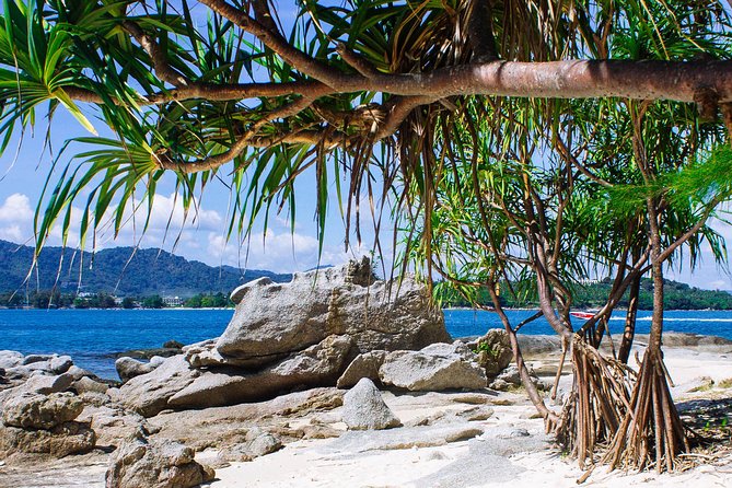 Bon Island Tour by Longtail Boat With Lunch - Customer Support and Information