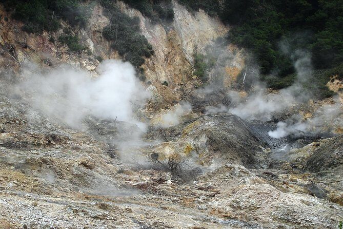 Bon Voyage - St. Lucia Tour - An In-Depth Look at the Tour