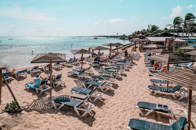 Bonaire 2 hour Island Tour & 2 hour Beach Stay - Good To Know  