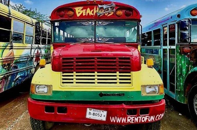 Bonaire 2 hour Island Tour & 2 hour Beach Stay - Who Is This Tour Best For?