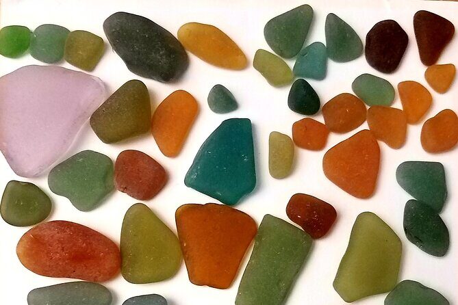 Bonaire Beachcombing and Sea Glass Private Tour - An In-Depth Look at the Bonaire Beachcombing Experience