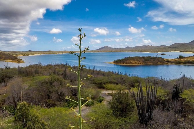 Bonaire Essentials Island Tour - Additional Information