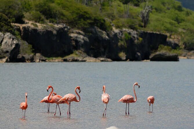 Bonaire Island North Side DiscoveryTour - The Sum Up