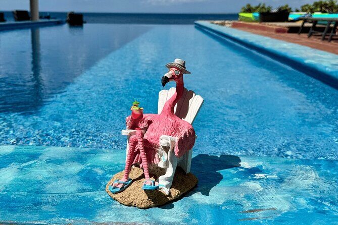 Bonaire Oceanfront Villa Day Pass All-Inclusive Cruise Friendly - Bonaire Oceanfront Villa Day Pass All-Inclusive Cruise Friendly: A Relaxed Slice of Paradise