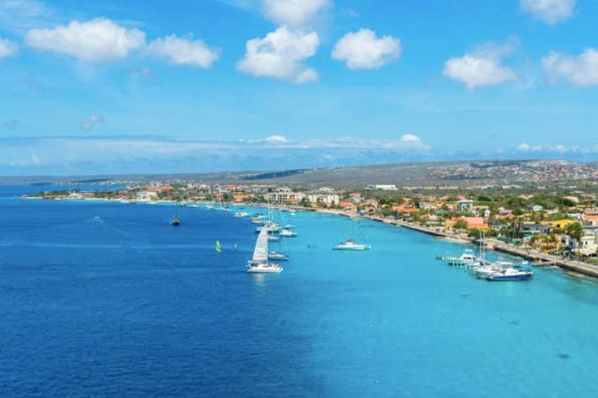 Bonaire Shore Excursion: The Bonaire Highlights Tour - Tour Details