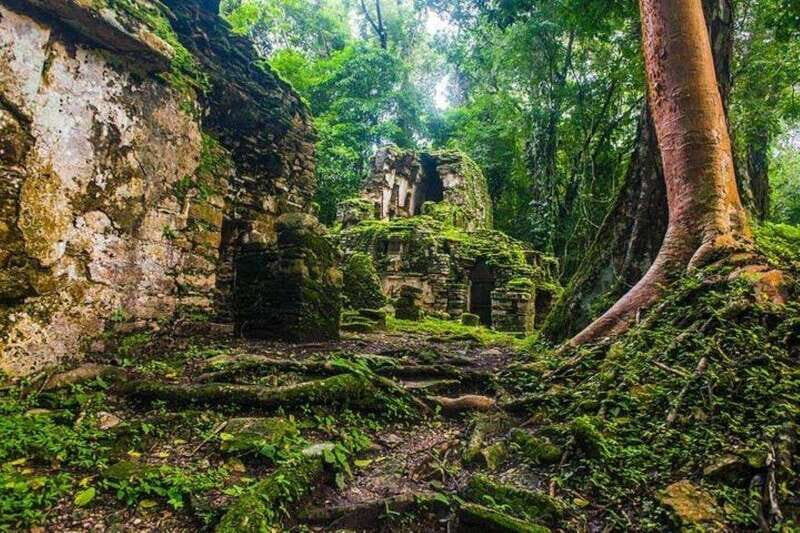 Bonampak & Yaxchilan archaeological sites & jungle - Discovering Mayan Art and Architecture in Chiapas