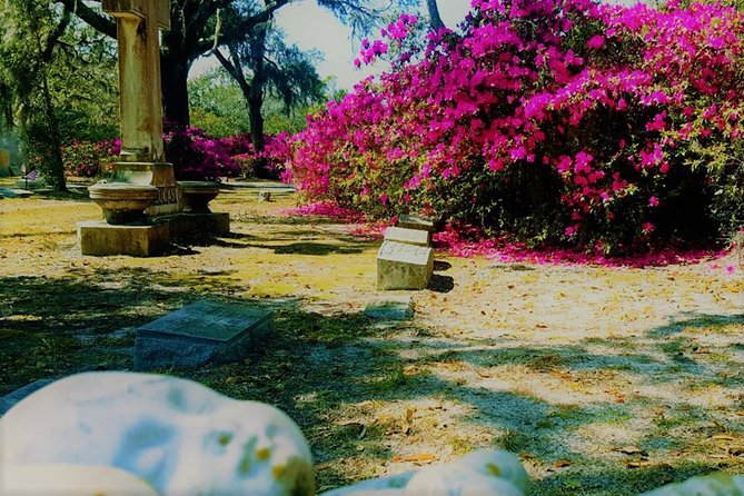 Bonaventure Cemetery Is Forever Tour - Refund and Cancellation Policy