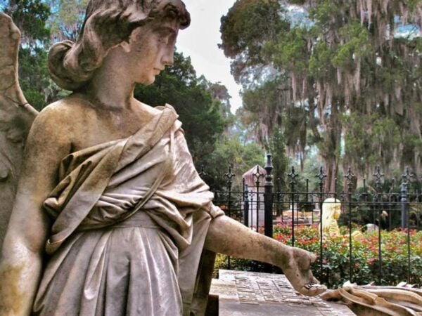 Bonaventure Cemetery: Private Tour With Shannon Scott - The Sum Up