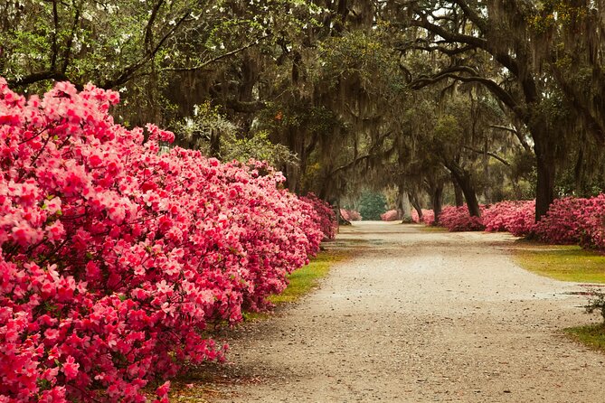 Bonaventure Cemetery Tours - Critiques and Suggestions for Improvement