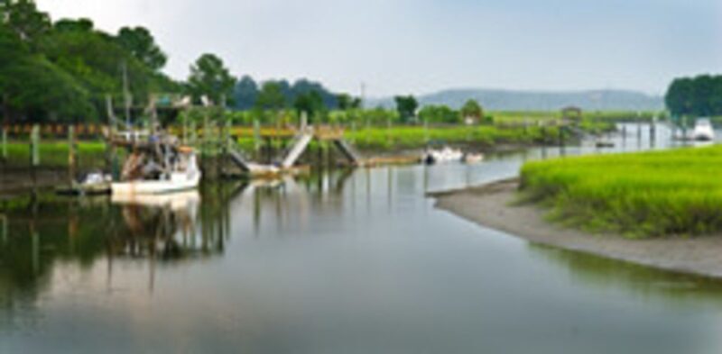 Bonaventure Cemetery & Wormsloe State Historic Site Tour - Practical Details & What to Expect