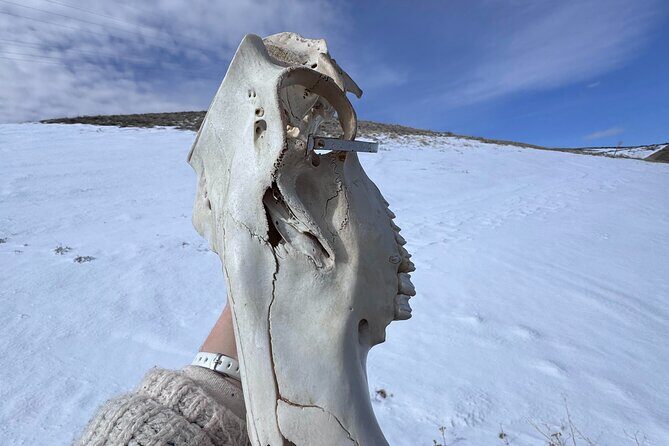 Bone Hunting in Wyoming - FAQs