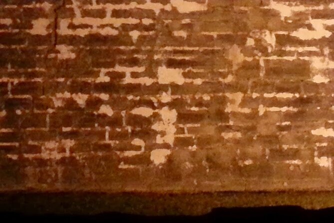 Bones Under Us, Ghost Tour With Archeology - Performance of Review Checks