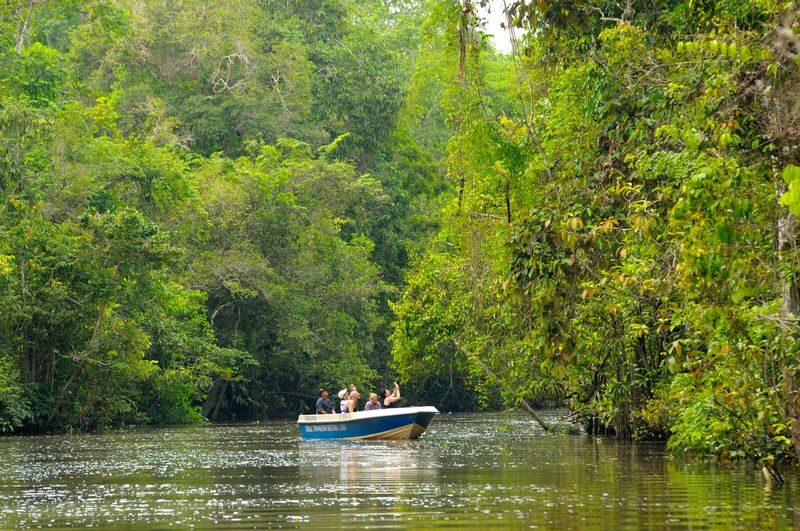 Bongawan/Binsuluk Mangrove Cruise, Mirror Beach & Firefly - Dinner before the night cruise