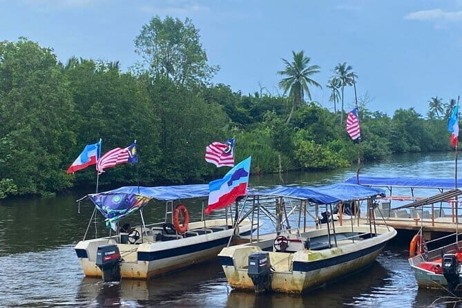 Bongawan River Cruise Proboscis Monkey, SkyMirror, Fireflies - Final Thoughts